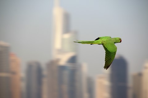 Photo by Nilesh Trivedi