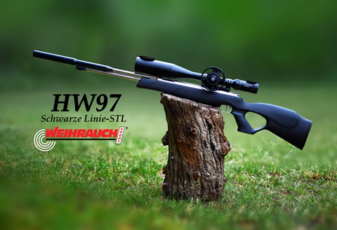 Photo by George Veltchev