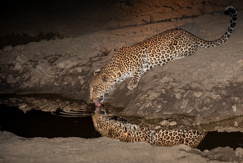 Photo by fulviavecchia