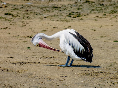 Photo by Navel Gazing