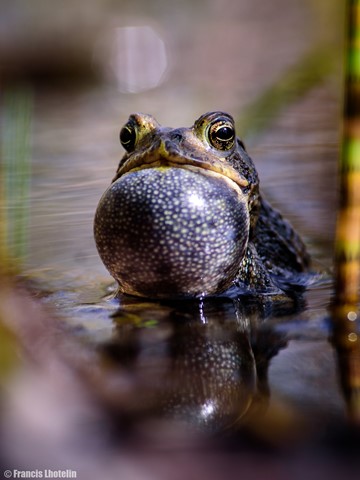 Photo by chromophore