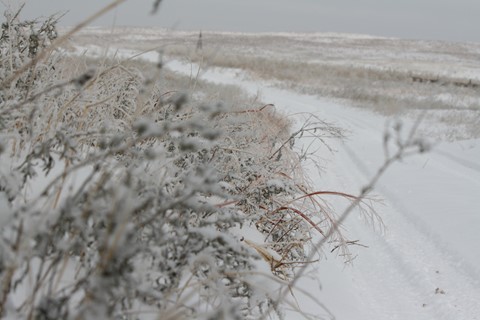 Photo by addisonstarr