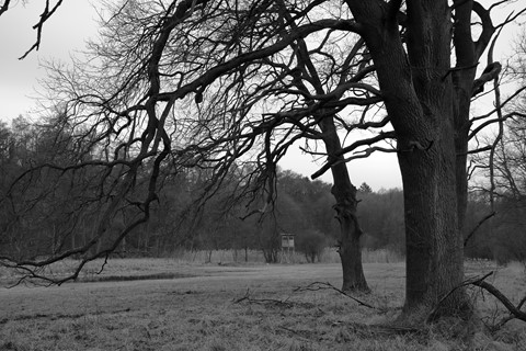 Photo by mikolaj_szary