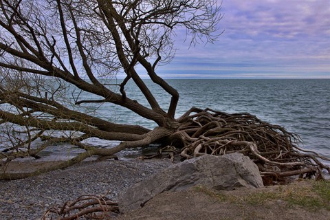 Photo by trinidadmikey