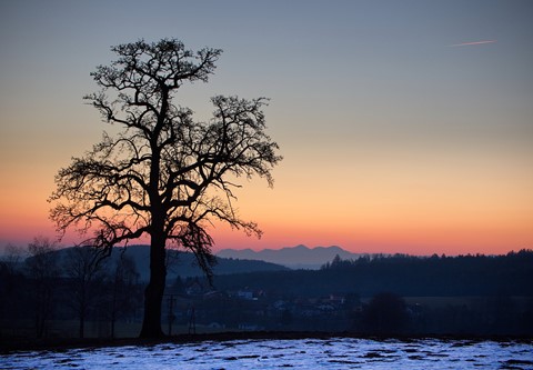 Photo by fireplace33