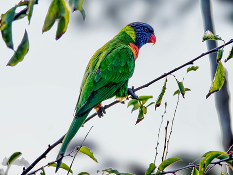 Photo by Barry  Twycross