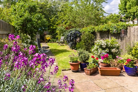 Photo by Mike Engles