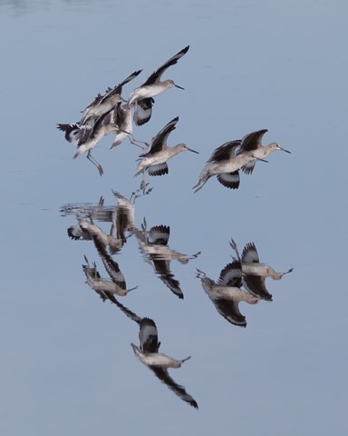 Photo by Southernboy88