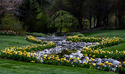 Photo by Grandmaslake