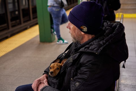 Photo by BrentSchumer