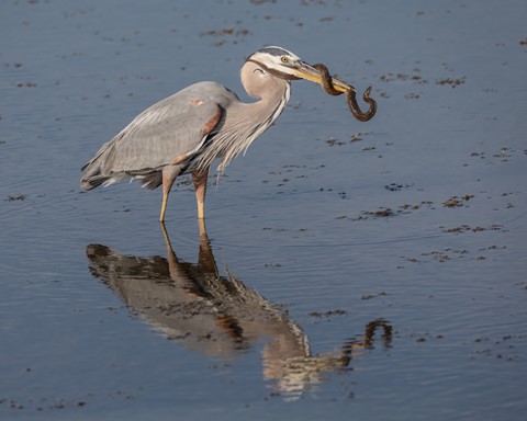 Photo by Southernboy88