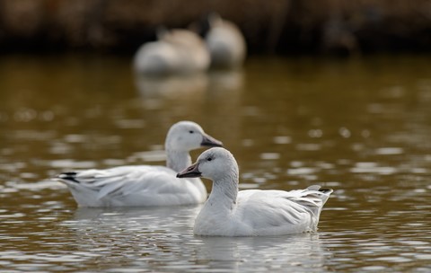 Photo by lickity split