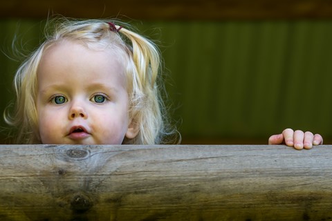 Photo by old shutter bugger