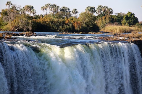 Photo by Water Wonder