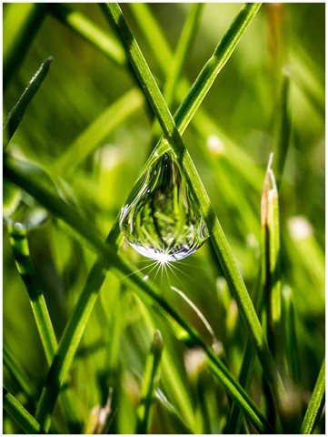 Photo by jonestheroad