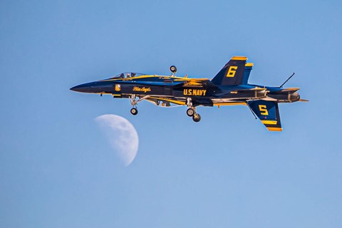 Photo by Nilesh Patel