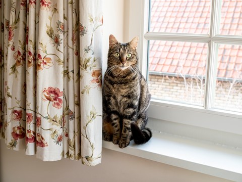 Photo by softmarmotte