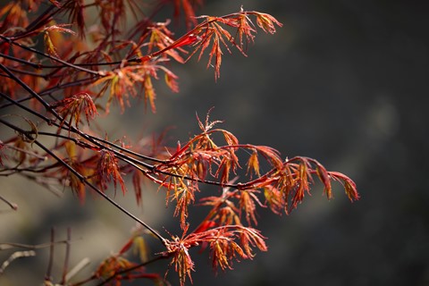 Photo by Ottmar_Jaenicke