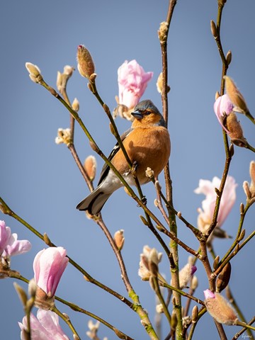 Photo by hectorpatrick