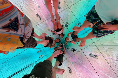 Photo by Great Bustard