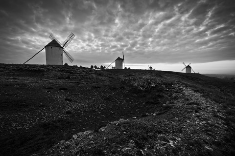 Photo by Javier Diaz