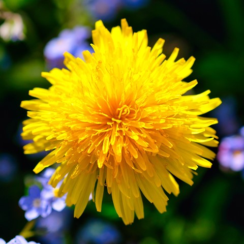 Photo by Didier Quan