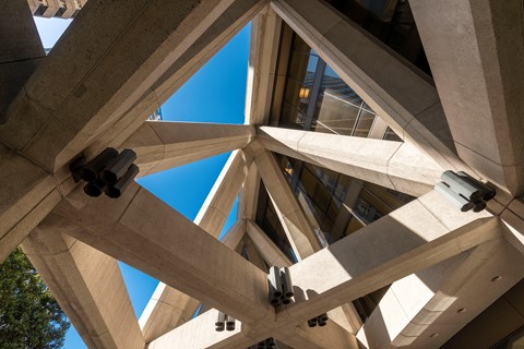 Photo by MarcNikonBelgium