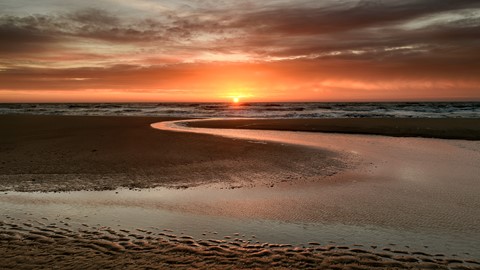 Photo by Jelle Zijlstra