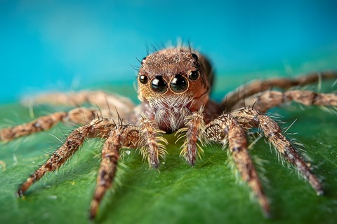 Photo by Sandeep Patil