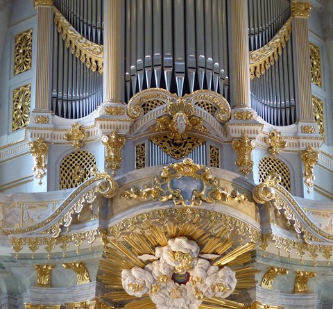 Photo by wild orchid