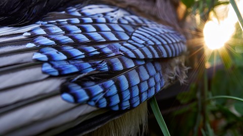 Photo by Brightrider