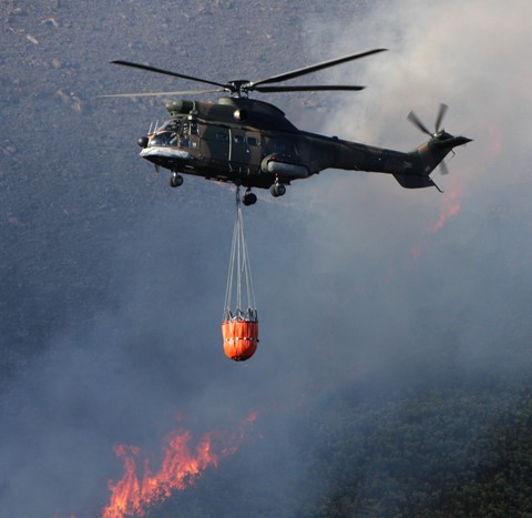 Photo by First Response - 1