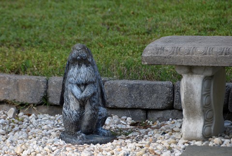 Photo by kennyraisin