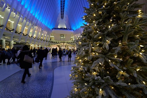 Photo by BrentSchumer