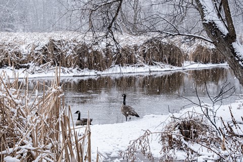 Photo by Canadian Winter