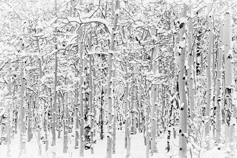 Photo by Richard Carande