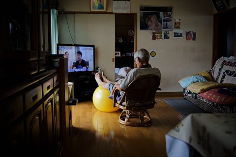 Photo by Great Bustard