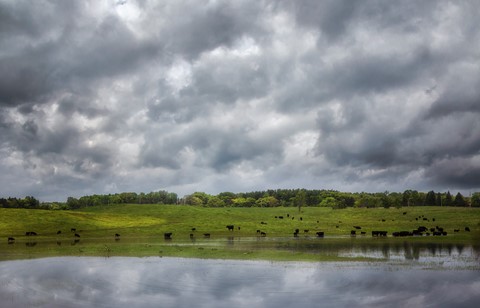 Photo by Madeleine Hart