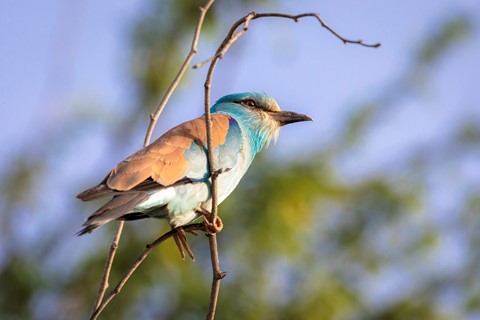 Photo by Heshamenco1968