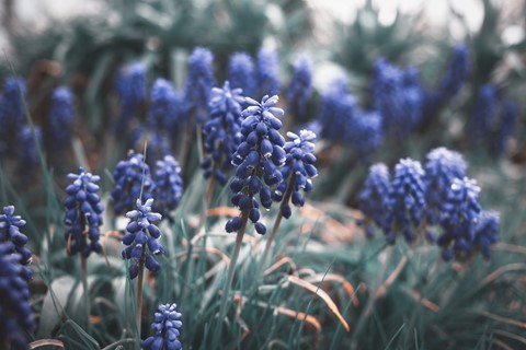 Photo by preferredfault