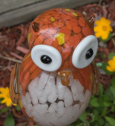 Photo by kennyraisin