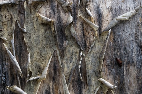 Photo by Dark and blurry