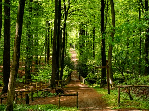 Photo by softmarmotte