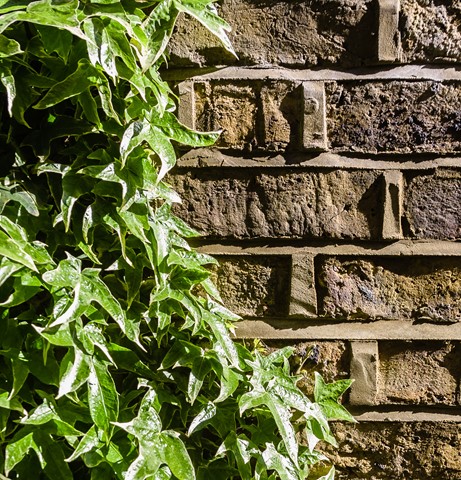 Photo by Mike Engles