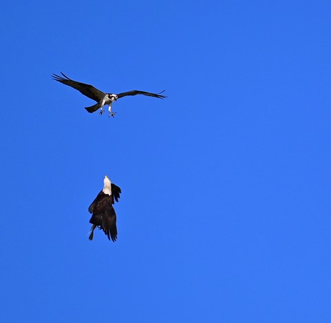 Photo by Thismanisaboy