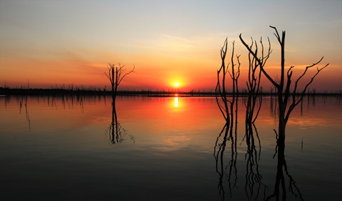 Photo by Nilesh Trivedi