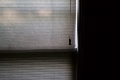 Photo by Richard Thornton