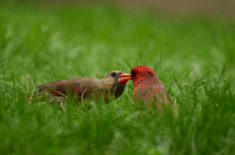 Photo by BrentSchumer