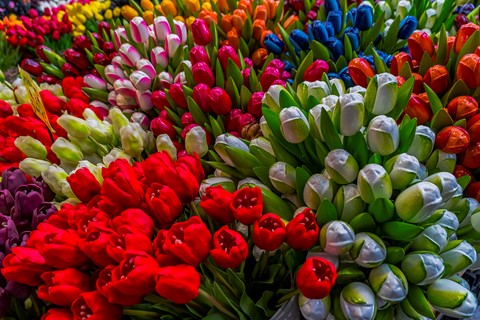 Photo by Mitchmeister