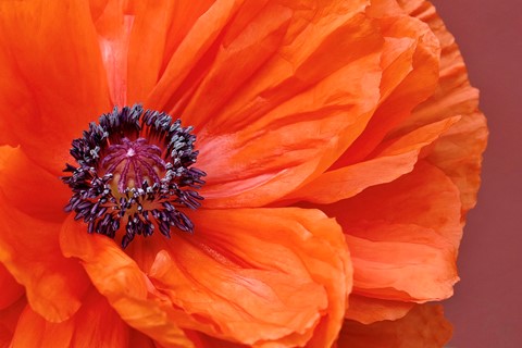 Photo by mreservices